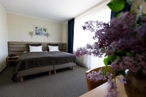 Standard Double Room room in Spa Hotel Ezeri