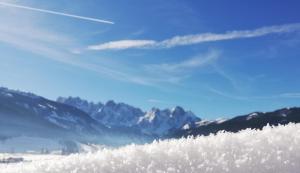 Kalvarienberg Appartement Gosau