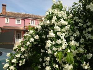 Vila Arsini - sa 3 sobe za do 6 osoba, Poreč - Dračevac