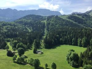 Appartements Grand Studio VILLARD DE LANS Les Glovettes : photos des chambres