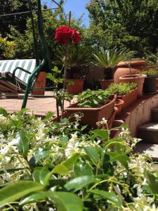 Affittacamere Ciro's House img19