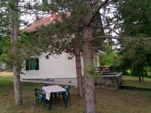 Kuća Sarić, Gružansko jezero