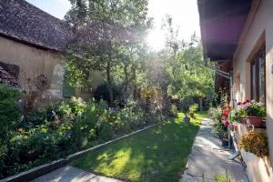 Villa Rihuini Eco Wine house Transylvania - Moşna