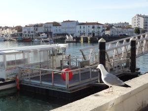 George V - Enjoy the view of the sea channel