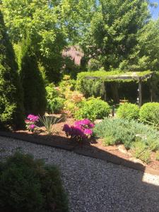 Apartamenty Sudeckie nad zalewem