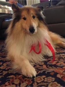 L'Essenza Hotel img46