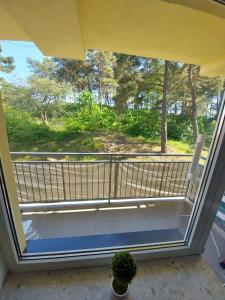 Apartament Na Wydmie z widokiem na las