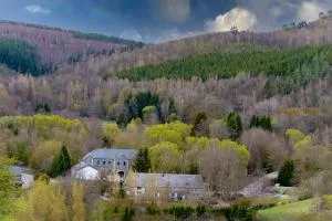 Ardenne essentielle - Graide