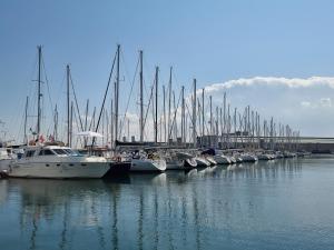 Bateaux BOAT APPART TITANIC Cherbourg motor yacht a quai ROSE STAR : photos des chambres