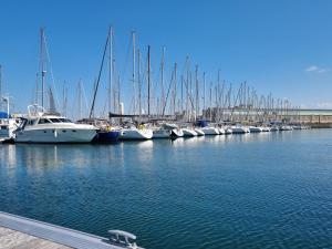 Bateaux BOAT APPART TITANIC Cherbourg motor yacht a quai ROSE STAR : Bateau