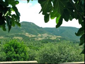 Villa Mimosa ad Alghero a 2km dalla spiaggia per 6 persone img43
