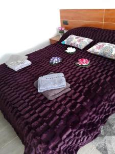 Estudio Playa del Cura