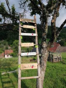 Appartements Les Locations de Stephanie ,gite L'Arbre Vert : photos des chambres
