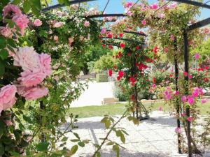 Maisons de vacances Gite en Provence Lavande : photos des chambres