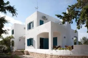 Villa Velissarios: wonderful villa next to beach - 爱琴娜岛