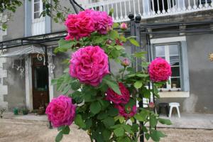 B&B / Chambres d'hotes Chateau La Barge - Dordogne : photos des chambres