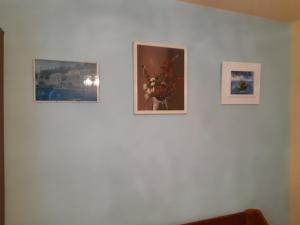 Apartman VeDE Baćina