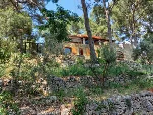 LES PINS - 勒卡斯特雷特