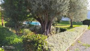 Luxurious 6 bedroom villa In a great location