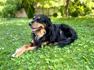 Art Pension dans le Parc