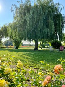 Hotels Hotel l'Oree Des Vignes : photos des chambres