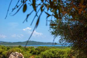 Massidda Country Retreat