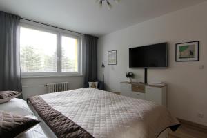 Apartmán Valérie, byt Valtice