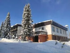 Penzion Aktiv - Sklenařice