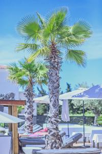 Appart'hotels Bella Vista Hotel, Suites & Maisons : photos des chambres