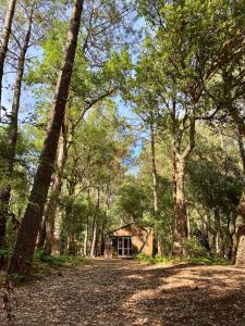 Campings Espace Blue Ocean : Chalet Supérieur - Villa (4-5 Personnes) - Vue sur la Forêt