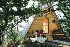 Sunland•სანლენდ - Buknari