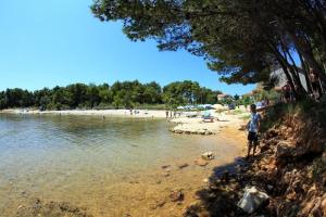 Apartment in Vir with sea view, balcony, air conditioning, Wi-Fi (4595-3)