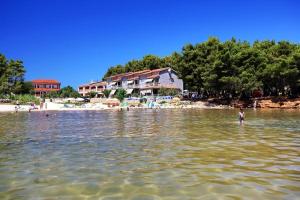 Apartment in Vir with sea view, balcony, air conditioning, Wi-Fi (4595-3)