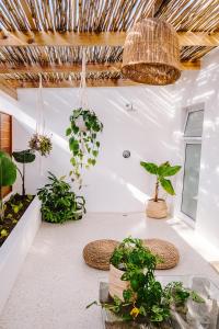 Skoon Seaside Accommodation
