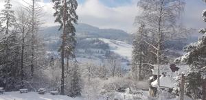 Apartamenty Lavender Hill