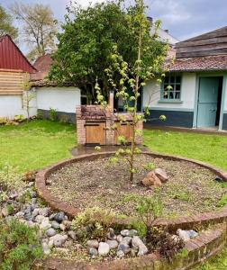 Maisons de vacances Gueschavik : photos des chambres