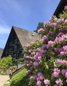 Panorama Point - Glashütte