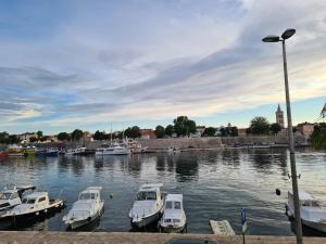 Zadar sea view