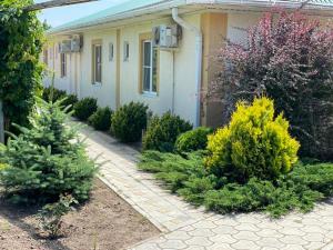 Classic Triple Room room in Korall Guest House