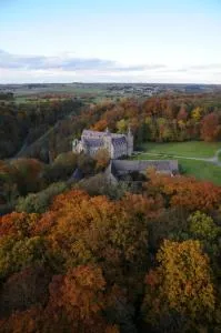 Domaine Mielmont - Spy