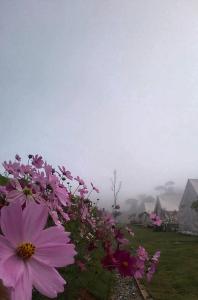 Lys I dalen resort&camping