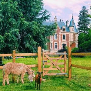 Maisons d'hotes Chateau de Hieville : photos des chambres