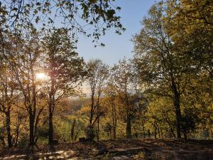 Quinta Das Essências