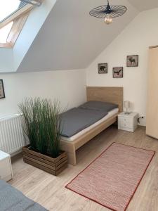 Schöne und Helle Deutsch-Wagram Wohnungen