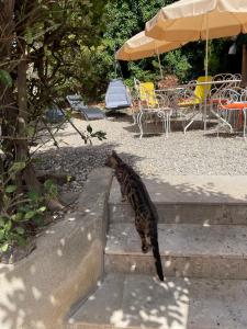 Auberge De Cucugnan photo 21