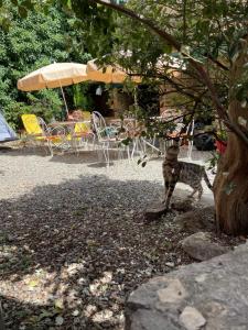 Auberge De Cucugnan photo 6