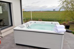 Villas Gite & Spa Villa Manta Strasbourg : photos des chambres