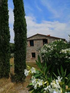 Casetta dell`Uliveto