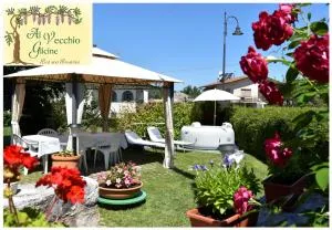 Al Vecchio Glicine - Miren