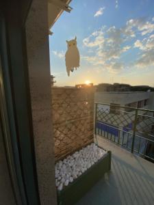B&B MaLò Family Friendly